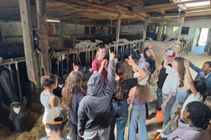Die Klasse 5a besucht den Bauernhof Gut Hixholz in Velbert