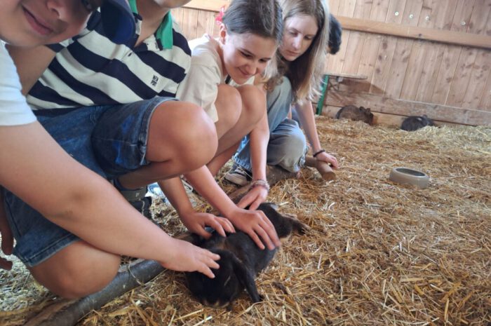 Die Klasse 5c besucht den Bauernhof Gut Hixholz